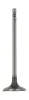 Einlassventil AE V95254 Bild Einlassventil AE V95254