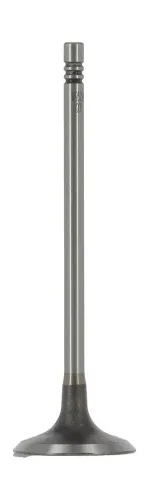 Einlassventil AE V95254 Bild Einlassventil AE V95254