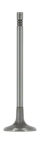 Einlassventil AE V95256 Bild Einlassventil AE V95256