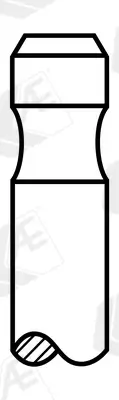 Auslassventil AE V95259