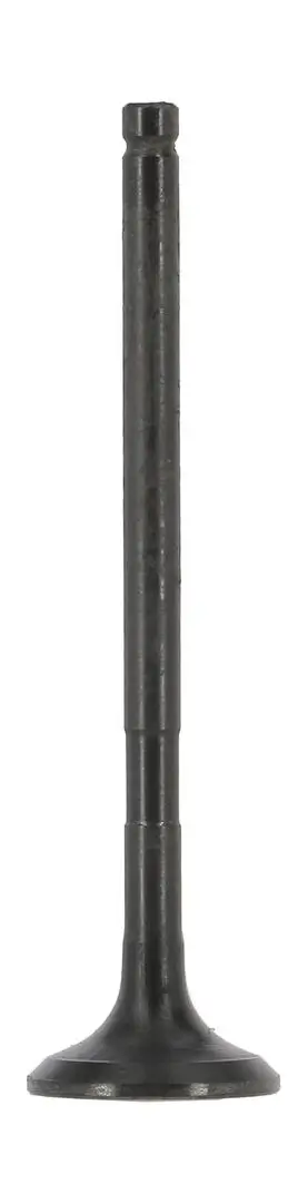 Auslassventil AE V95259