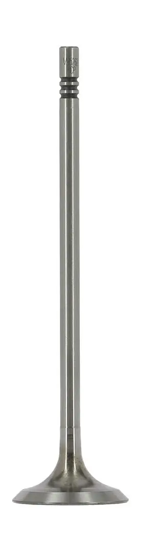 Einlassventil AE V95262