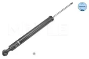 Stoßdämpfer Hinterachse MEYLE 026 725 0031