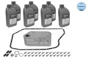 Teilesatz, Automatikgetriebe-Ölwechsel MEYLE 100 135 0002