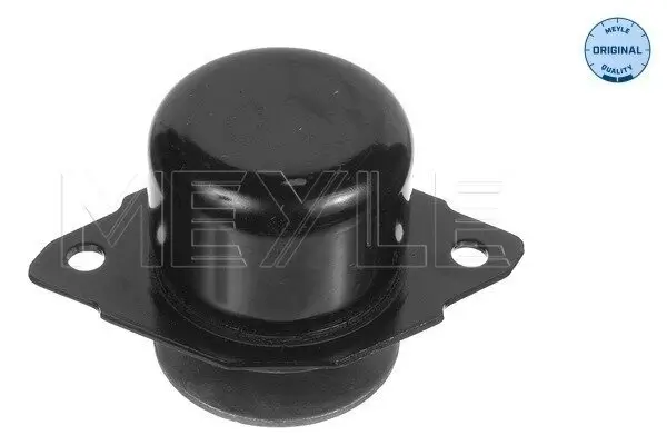 Lagerung, Motor hinten links MEYLE 100 199 0027