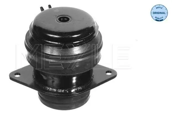 Lagerung, Motor hinten rechts MEYLE 100 199 0073