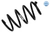 Fahrwerksfeder Vorderachse MEYLE 100 639 0088