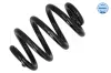 Fahrwerksfeder Hinterachse MEYLE 100 739 0005