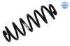 Fahrwerksfeder Hinterachse MEYLE 100 739 0065