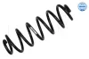Fahrwerksfeder Hinterachse MEYLE 100 739 0069