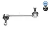 Stange/Strebe, Stabilisator Hinterachse rechts Hinterachse links MEYLE 11-16 060 0031