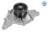 Wasserpumpe, Motorkühlung MEYLE 113 012 0036 Bild Wasserpumpe, Motorkühlung MEYLE 113 012 0036