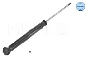 Stoßdämpfer Hinterachse MEYLE 126 725 0026