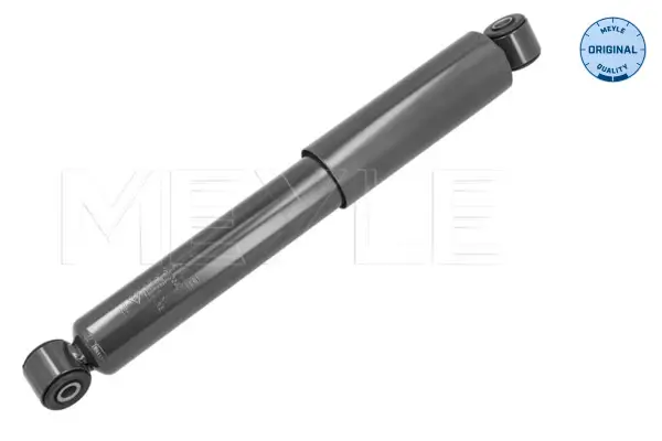 Stoßdämpfer Hinterachse MEYLE 126 725 0060