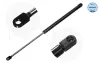 Gasfeder, Koffer-/Laderaum hinten links MEYLE 140 160 3495