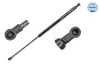 Gasfeder, Koffer-/Laderaum MEYLE 16-40 910 0028