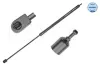 Gasfeder, Motorhaube vorne MEYLE 16-40 910 0035