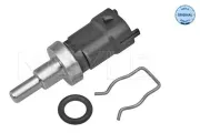 Sensor, Kühlmitteltemperatur MEYLE 214 821 0009