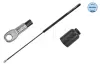 Gasfeder, Motorhaube beidseitig MEYLE 240 161 0444