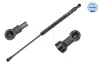 Gasfeder, Koffer-/Laderaum MEYLE 240 910 0024