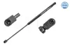 Gasfeder, Koffer-/Laderaum MEYLE 240 910 0025