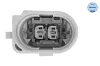 Lagerung, Motor vorne links MEYLE 300 118 1129 Bild Lagerung, Motor vorne links MEYLE 300 118 1129