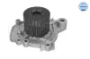 Wasserpumpe, Motorkühlung MEYLE 31-13 192 0003 Bild Wasserpumpe, Motorkühlung MEYLE 31-13 192 0003