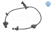 Sensor, Raddrehzahl MEYLE 31-14 899 0013