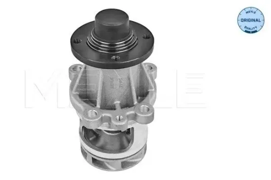 Wasserpumpe, Motorkühlung MEYLE 313 011 2900 Bild Wasserpumpe, Motorkühlung MEYLE 313 011 2900