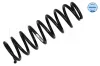 Fahrwerksfeder Hinterachse MEYLE 33-14 739 0002
