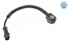 Klopfsensor MEYLE 37-14 811 0003