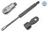 Gasfeder, Motorhaube hinten MEYLE 440 160 3065