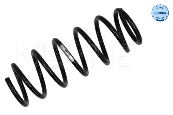 Fahrwerksfeder Hinterachse MEYLE 614 739 0029