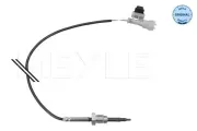 Sensor, Abgastemperatur nach Katalysator MEYLE 614 800 0055