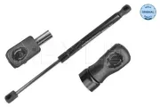 Gasfeder, Koffer-/Laderaum beidseitig MEYLE 70-40 910 0002