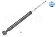 Stoßdämpfer Hinterachse MEYLE 726 725 0031