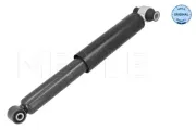 Stoßdämpfer Hinterachse MEYLE 726 725 0038