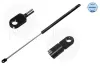 Gasfeder, Motorhaube MEYLE 840 160 3556