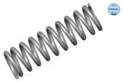 Fahrwerksfeder Hinterachse MEYLE 014 032 0496
