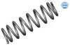 Fahrwerksfeder Hinterachse MEYLE 100 739 0020