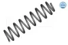 Fahrwerksfeder Hinterachse MEYLE 100 739 0021