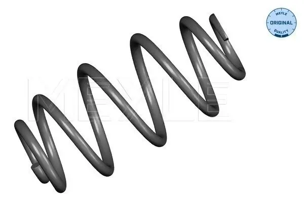 Fahrwerksfeder Hinterachse MEYLE 100 739 0029