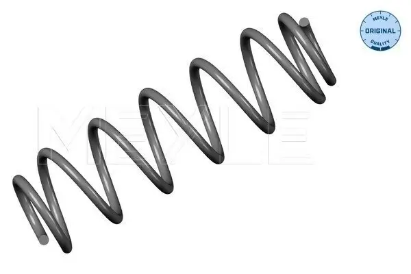 Fahrwerksfeder Hinterachse MEYLE 100 739 0049