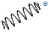 Fahrwerksfeder Hinterachse MEYLE 100 739 0054