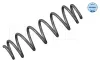 Fahrwerksfeder Hinterachse MEYLE 100 739 0057