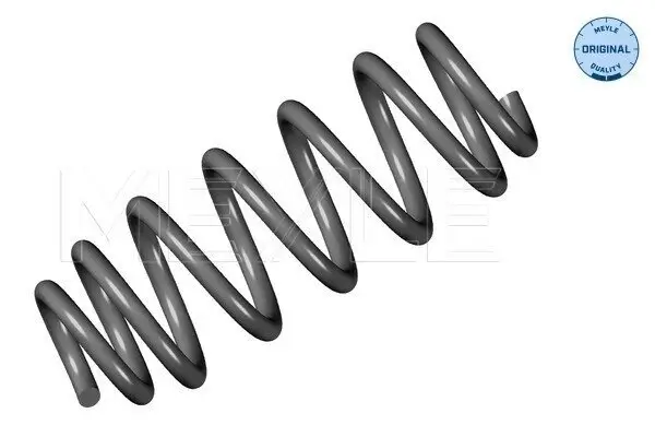 Fahrwerksfeder Hinterachse MEYLE 100 739 0059