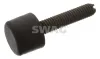Puffer, Motorhaube beidseitig SWAG 10 69 0002