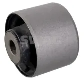 Lagerung, Differential Hinterachse links Hinterachse rechts vorne SWAG 33 10 6000