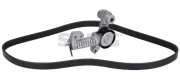 Keilrippenriemensatz SWAG 33 11 0501