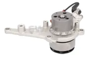 Wasserpumpe, Motorkühlung SWAG 33 11 0973